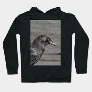 Crow on the beach Hoodie